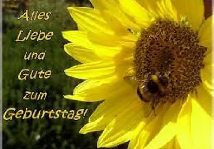 Runde-Geburtstage-2025